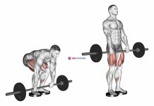 Barbell Romanian Deadlift From Deficit
