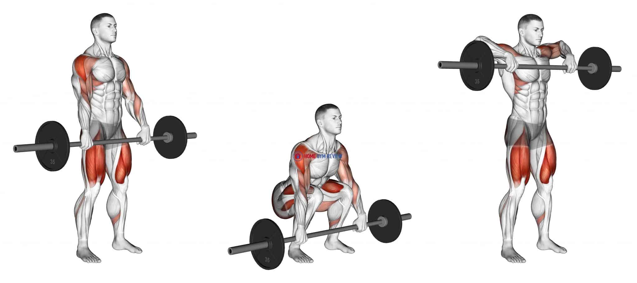 Barbell Squat to Upright Row Home Gym Review