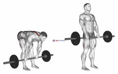 Barbell Stiff Legged Deadlift