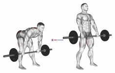 Barbell Wide Stance Stiff Leg Deadlift