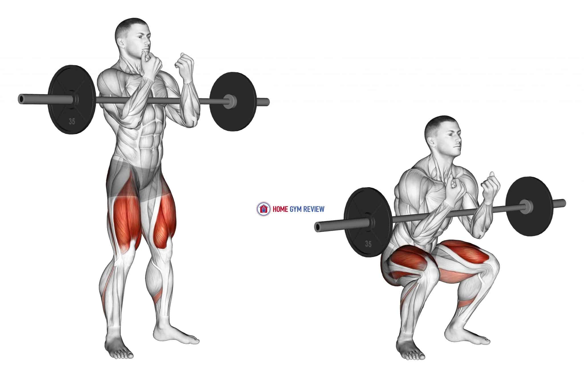 Barbell full Zercher Squat Home Gym Review