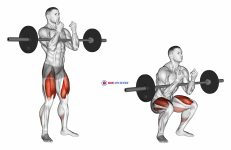 Barbell full Zercher Squat