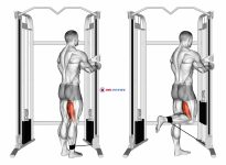 Cable Standing Leg Curl