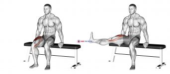 Chair Leg Extended Stretch