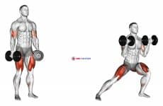 Dumbbell Lateral Lunge with Bicep Curl