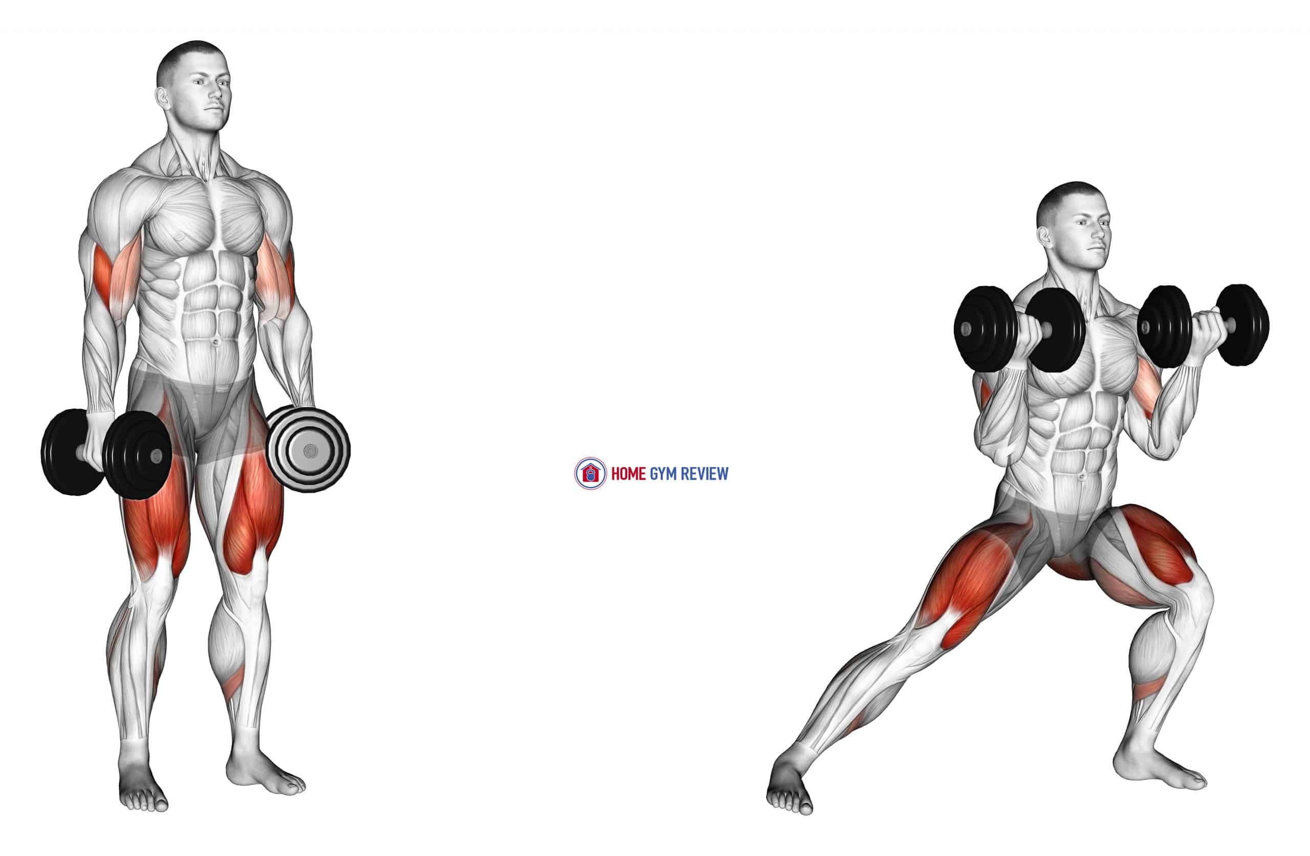 Dumbbell Side Lunges Dumbbell Side Lunges