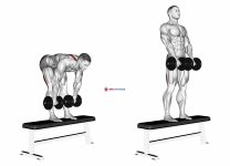 Dumbbell Stiff Leg Deadlift on Bench