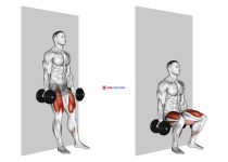 Dumbbell Wall Squat