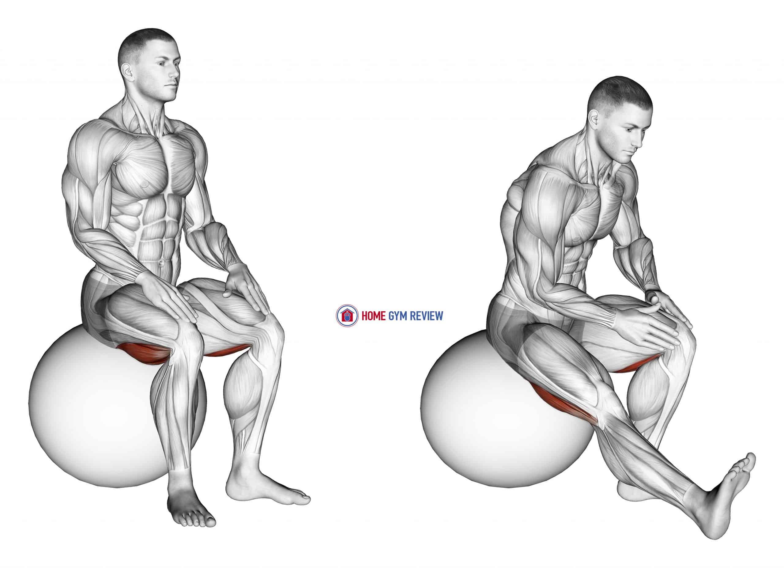 Exercise Ball Seated Hamstring Stretch