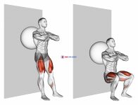 Exercise Ball Wall Squat