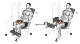 Lever One Leg Extension