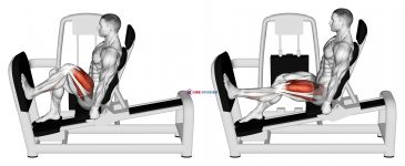 Lever Seated One Leg Wide Squat