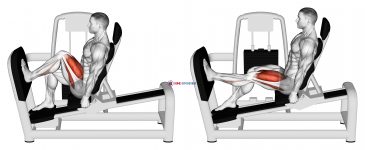 Lever Seated One Leg Squat