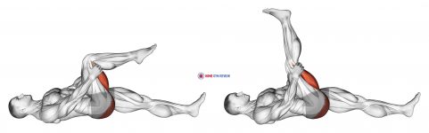 Leg Up Hamstring Stretch