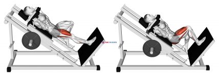 Sled One Leg Hack Squat