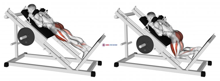 Sled Reverse Hack Squat - Home Gym Review