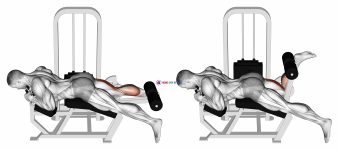Lever Lying Single Leg Curl