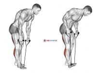 Standing Hamstring and Calf Stretch with Strap