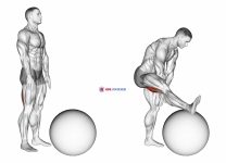 Standing Straight Leg Hamstring Contract Relax on Exercise Ball