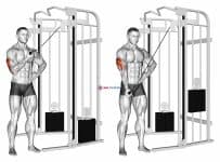 Cable One Arm Side Triceps Pushdown