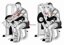 Lever Reverse Grip Preacher Curl