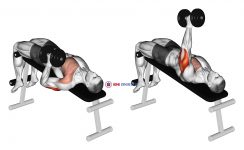 Dumbbell Decline One Arm Hammer Press