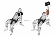 Dumbbell Incline One Arm Hammer Press