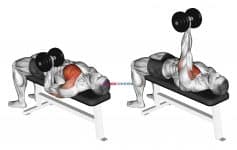 Dumbbell One Arm Reverse Grip Press