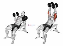 Dumbbell Palms In Incline Bench Press