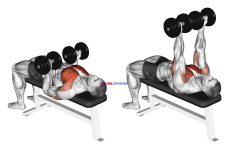 Dumbbell Reverse Bench Press