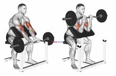 EZ Barbell Close Grip Preacher Curl