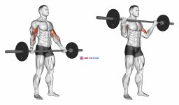 Barbell Standing Wide Grip Biceps Curl