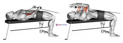 Cable Lying Bicep Curl