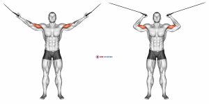 Cable Overhead Curl