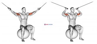 Cable Overhead Curl on Exercise Ball