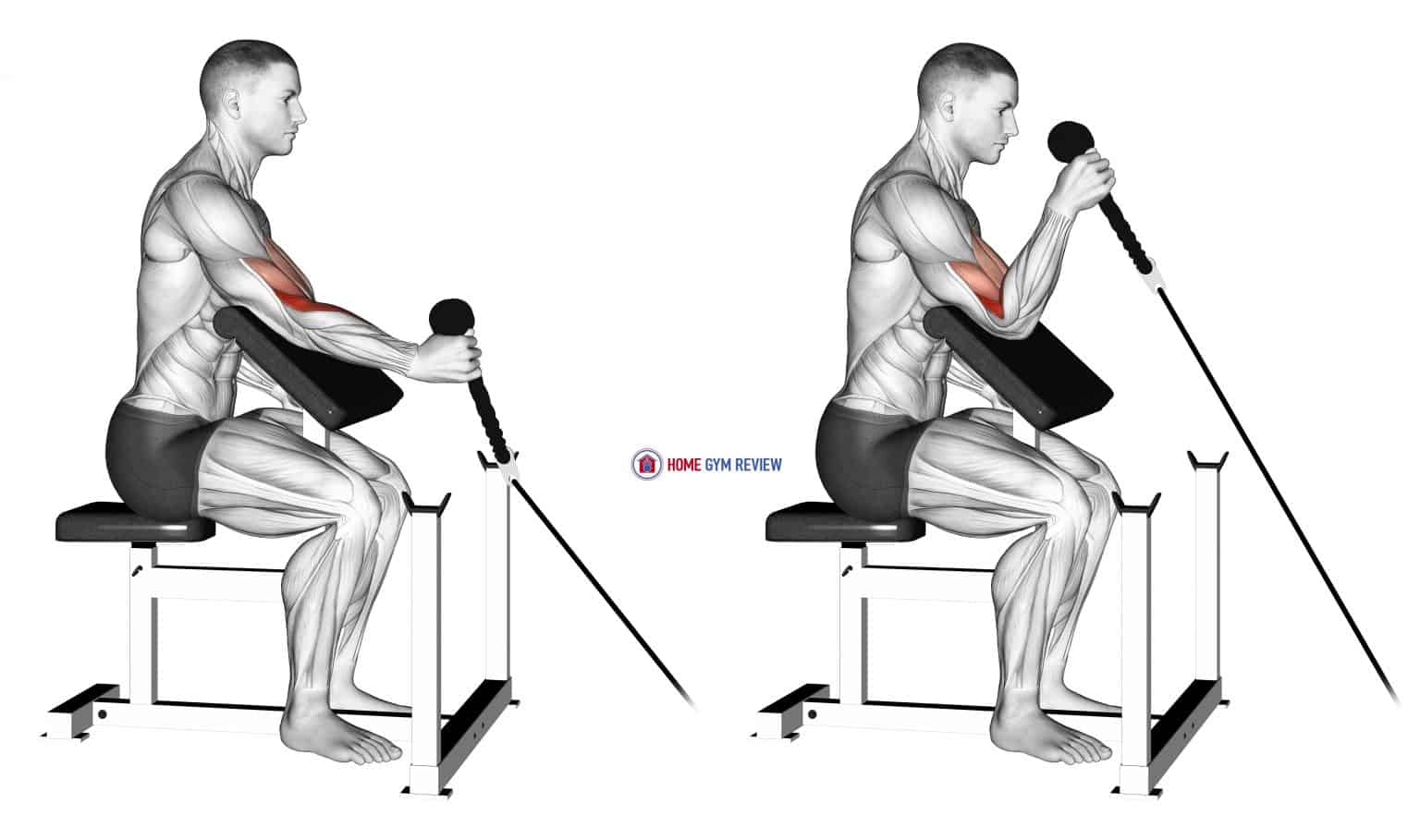 Cable Rope One Arm Hammer Preacher Curl Home Gym Review