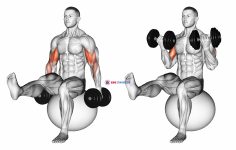 Dumbbell Bicep Curl on Exercise Ball with Leg Raised