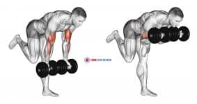 Dumbbell Bicep Curl With Stork Stance