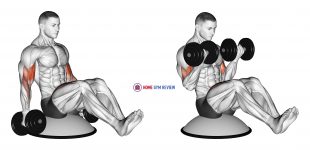Dumbbell Biceps Curl V Sit on Bosu Ball