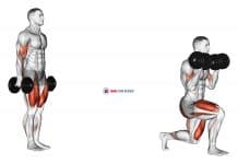 Dumbbell Lunge with Bicep Curl
