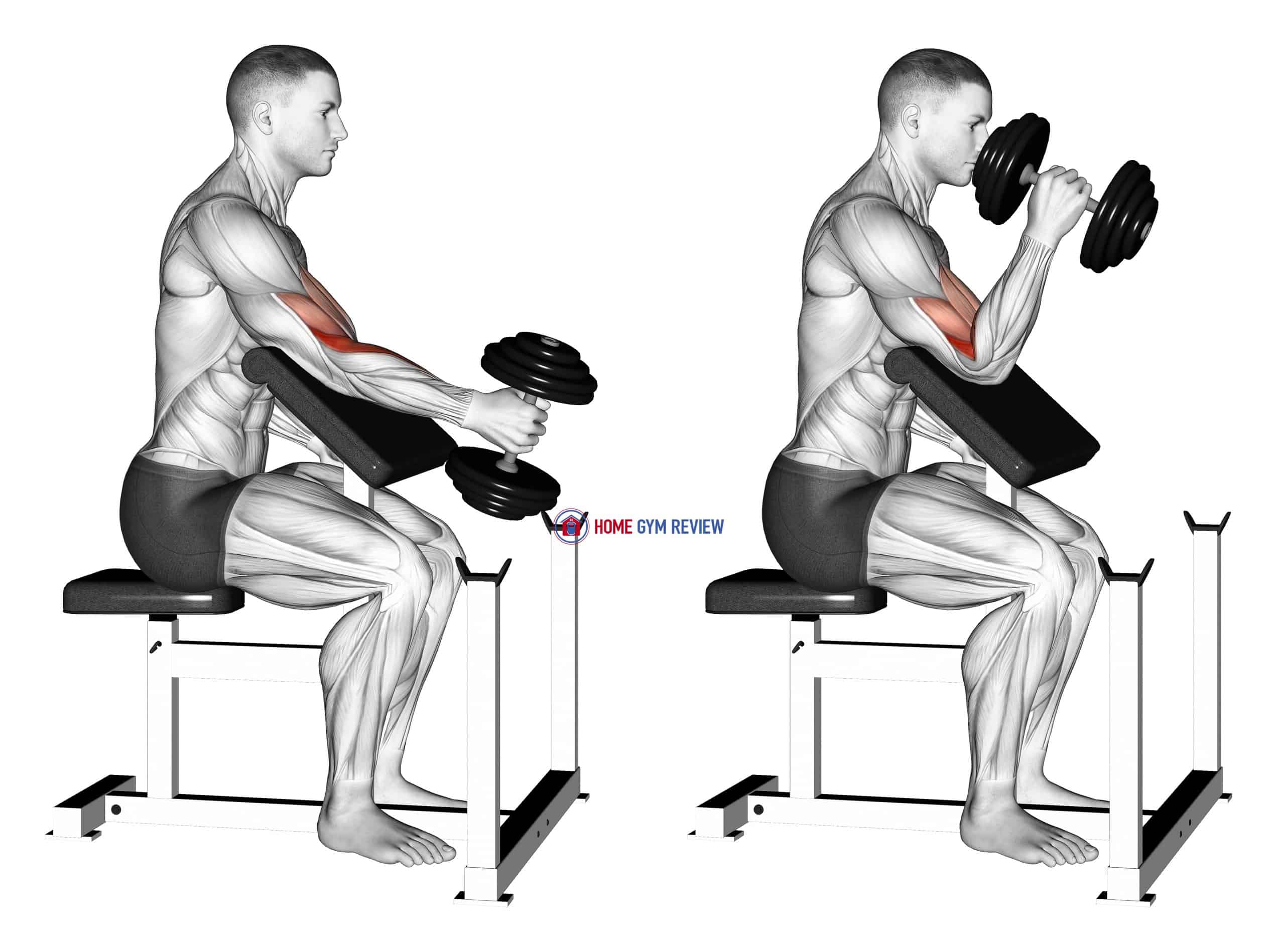 Dumbbell Preacher Curl 5 Best Strength Workouts For Men To Build Dumbbell Preacher Curl 5 Best Strength Workouts For Men To Build