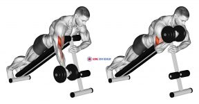 Dumbbell One Arm Prone Curl