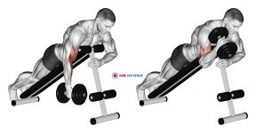 Dumbbell One Arm Prone Hammer Curl