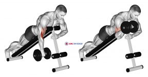 Dumbbell One Arm Reverse Spider Curl