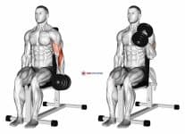 Dumbbell One Arm Seated Hammer Curl