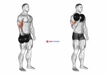Dumbbell One Arm Standing Curl