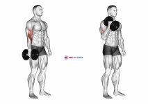 Dumbbell One Arm Standing Hammer Curl