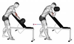 Dumbbell One Arm Zottman Preacher Curl