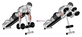 Dumbbell Prone Incline Hammer Curl