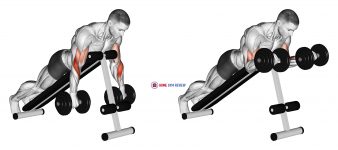 Dumbbell Reverse Spider Curl